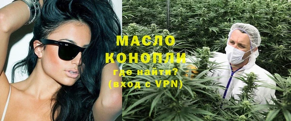 твердый Михайлов