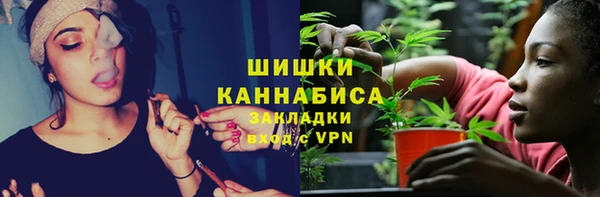 твердый Михайлов