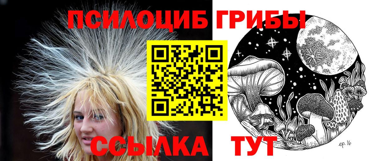 Галлюциногенные грибы GOLDEN TEACHER  Вход с VPN  Севастополь 