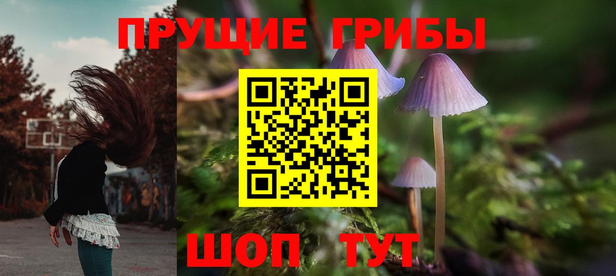 Галлюциногенные грибы Magic Shrooms Севастополь