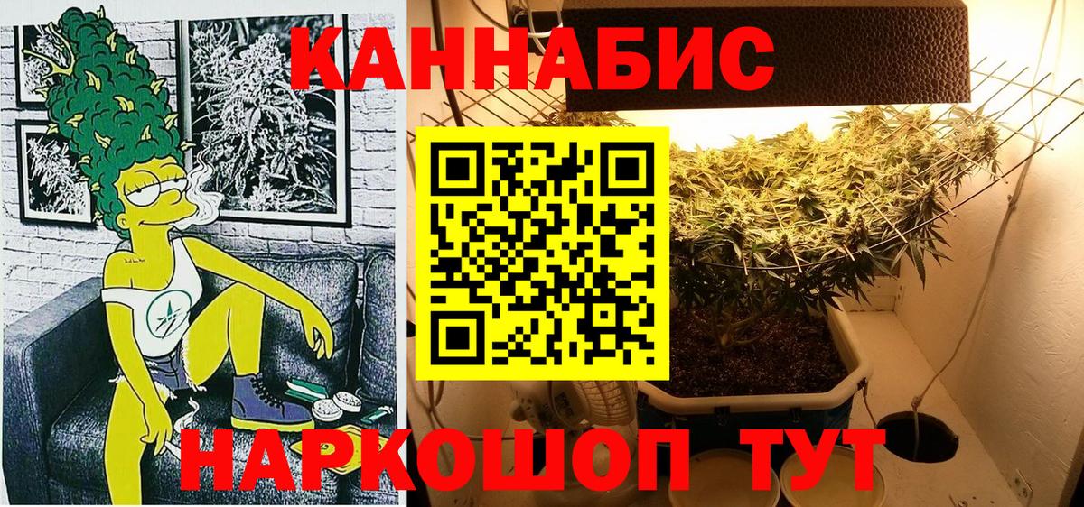 Каннабис план Севастополь